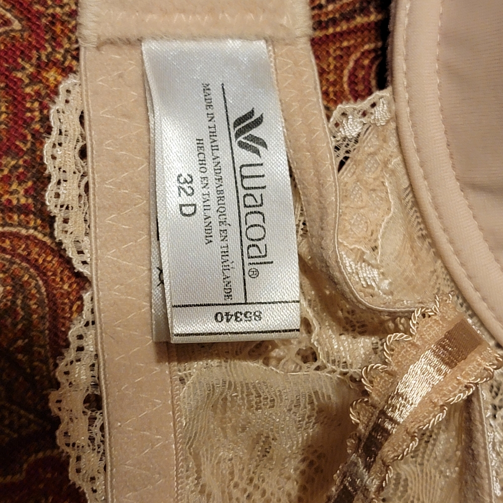 Wacoal Cream Lace-Trim T-Shirt Bras Duo - Picture 4 of 5
